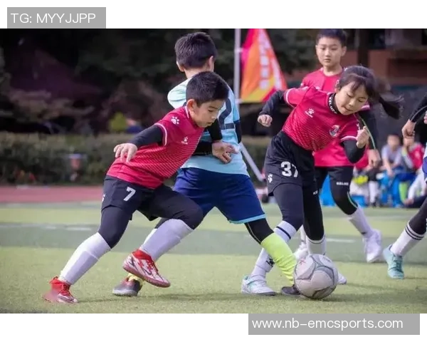 随风足球：在风中舞动的激情与梦想的追逐之旅
